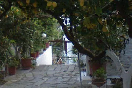 Apartament Lemon House